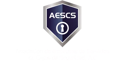 Logo Asociación de Empresas de Servicios de Cajas de Seguridad