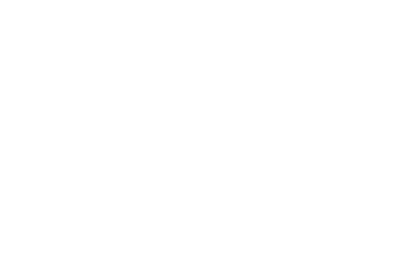 logo globalshield ingles